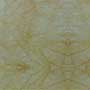 Spider Gold Onyx Marble- 3